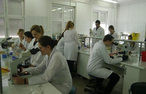 Studenci na laboratorium